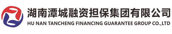 湖南潭城融資擔(dān)保集團(tuán)有限公司